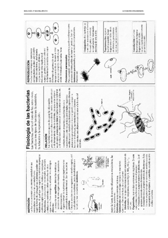17y18microbiologiaesquemas2bac.pdf