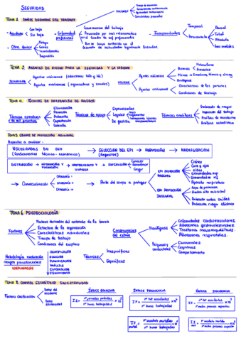 ESQUEMA-SEGURIDAD.pdf