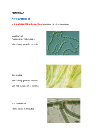 APUNTES-PARA-APROBAR-PRACTICAScompressed-1.pdf