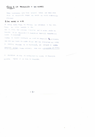 Tema 3- La producción y los costes..PDF