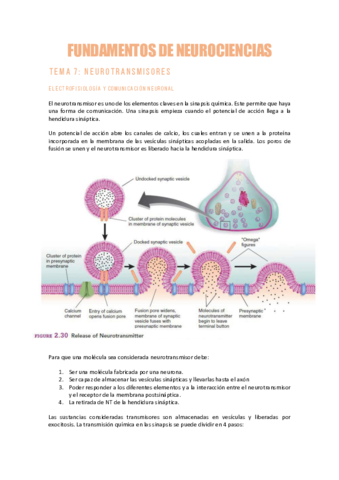 NEUROCIENCIAST7Neurotransmisores.pdf