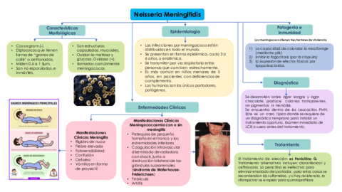 Neisseria-Meningitidis-Mapa.pdf