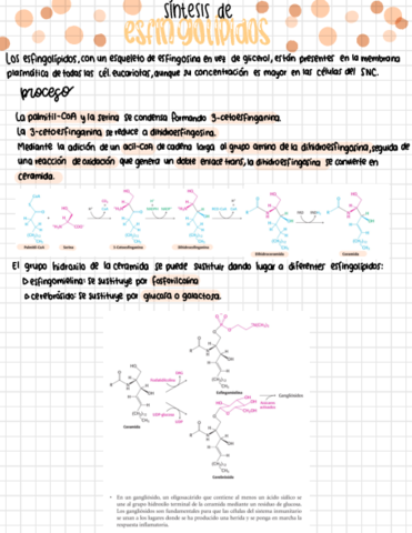 Sintesis-de-esfingolipidos.pdf