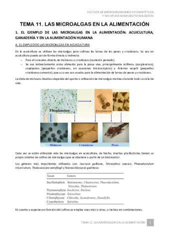 Tema-11-Cultivos-de-microorganismos-2021.pdf