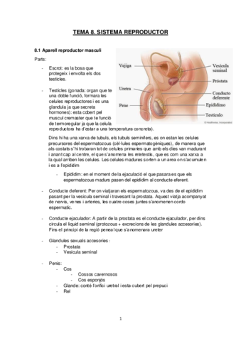 Sistema-reproductor.pdf