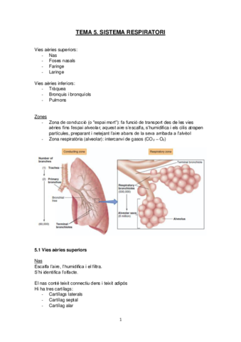 Sistema-respiratori.pdf