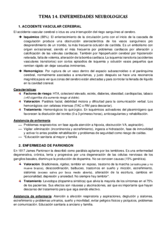 TEMA-14.pdf