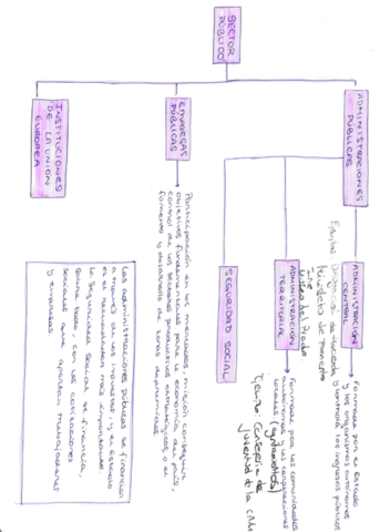 estructura-del-sector-publico.pdf