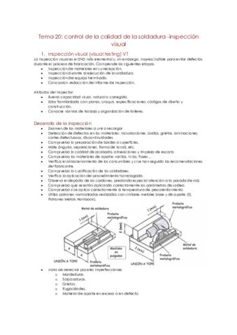Tema-20.pdf
