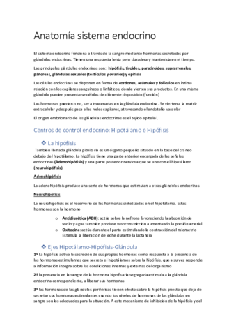 Anatomia-sistema-endocrino.pdf