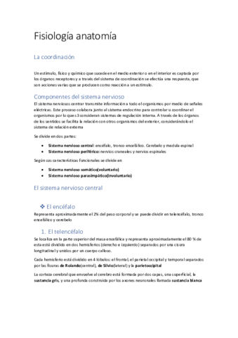 Anatomia-nervioso.pdf