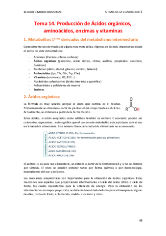 TEMA-14.pdf