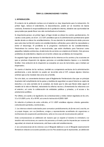 T13-PENITENCIARIO.pdf