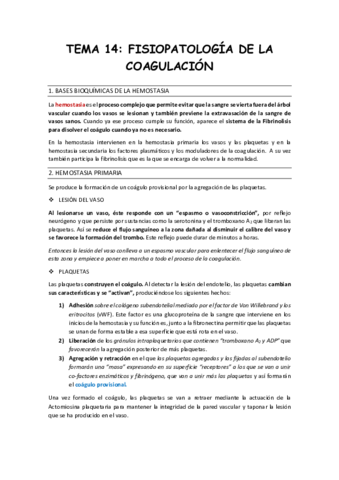 Resumen-tema-14.pdf