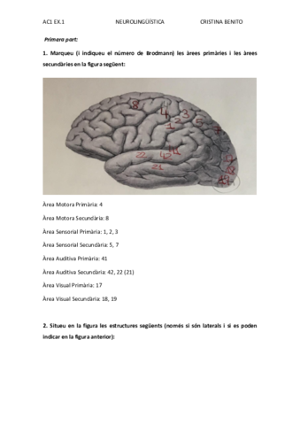 CRISTINA BENITO AC1 EX.1 .pdf