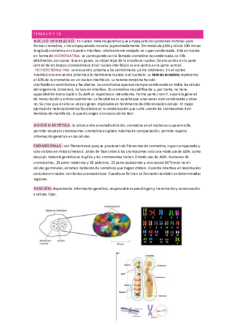 temario-citogenetica.pdf