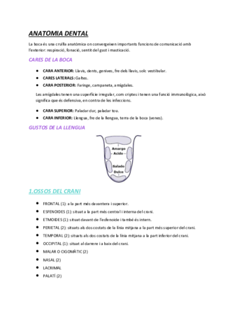 ANATOMIA-DENTAL.pdf