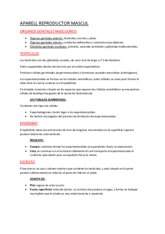 APARATO-REPRODUCTOR-MASCULINO.pdf