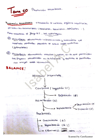 Ecología Tema 10.pdf