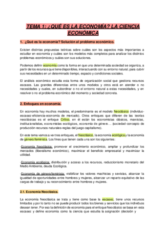 ECONOMIACOMPLETO.pdf