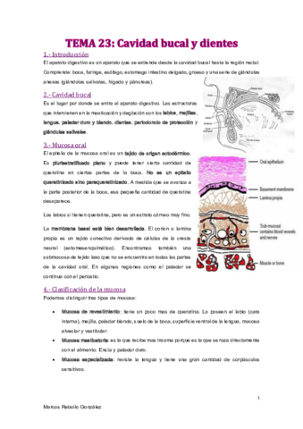 TEMA-23.pdf