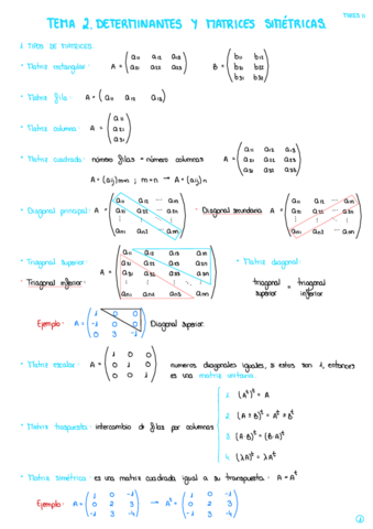 Apuntes-T2-MATES-II.pdf