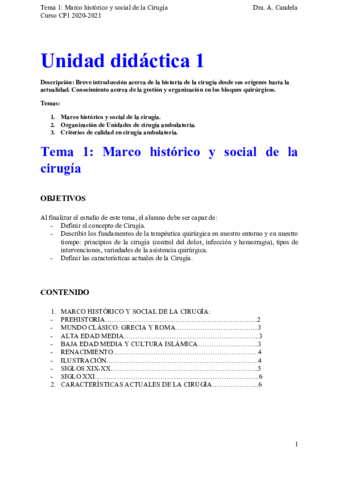 Tema-1.pdf