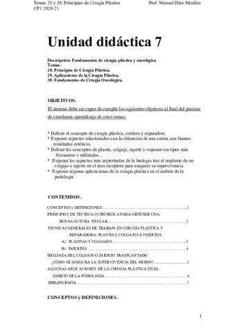 TEMAS-28-y-29-Cirugia-plastica.pdf
