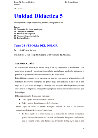 TEMA-24-Teoria-del-dolor.pdf