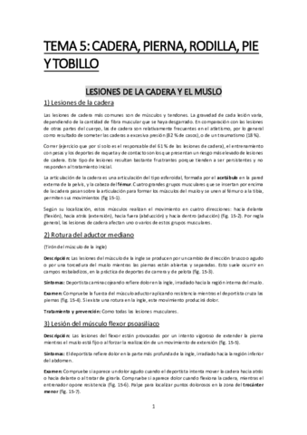 Tema-5-Fisio.pdf