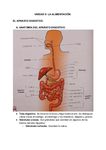 Atencion-Sanitaria.pdf