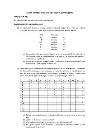 DICIEMBRE-2020.pdf