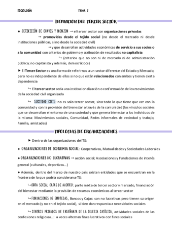 Tema-7TercerSectorSE.pdf