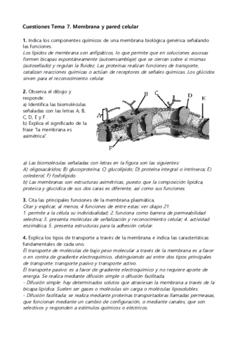 Membrana-y-Pared-celular-PAU.pdf