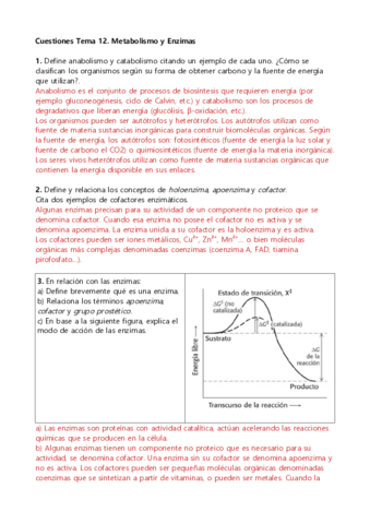 Metabolismo-y-enzimas-PAU.pdf