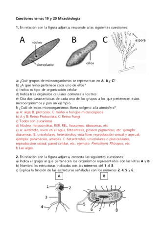 Microbiologia-PAU.pdf