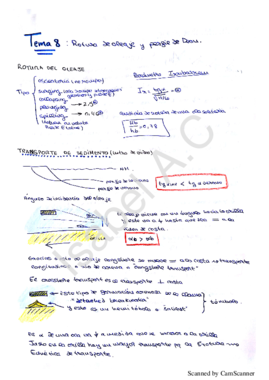 Ingeniería Costera Temas 8 9 10 11 y regeneración playas.pdf