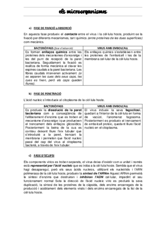 QUADRE-VIRUS-i-BACTERIOFAGS.pdf