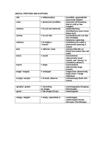 Medical-Terminology.pdf
