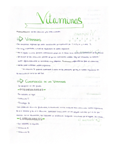 VITAMINAS.pdf