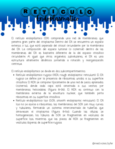 Reticulo-Endoplasmatico-y-Complejo-de-Golgi.pdf