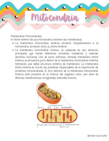 Mitocondria.pdf