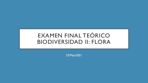 Examen-final-teorico-Flora.pdf