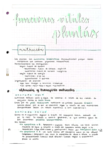 funciones-vitales-plantas.pdf