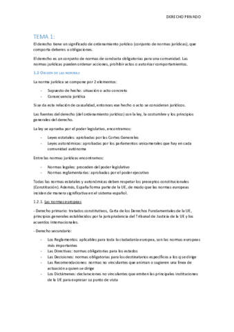 RESUMEN-T.pdf