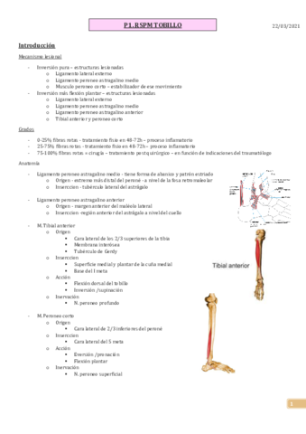 P1.pdf