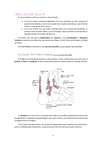 Unidad-II-MM-II-Tobillo-y-Pie.pdf