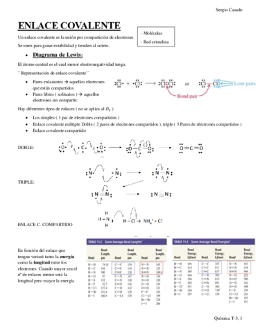 Quimica-T-3.pdf