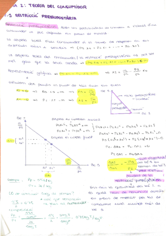 tema-2-teoria-del-consumidor.pdf