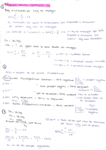 parcial-1-micro.pdf